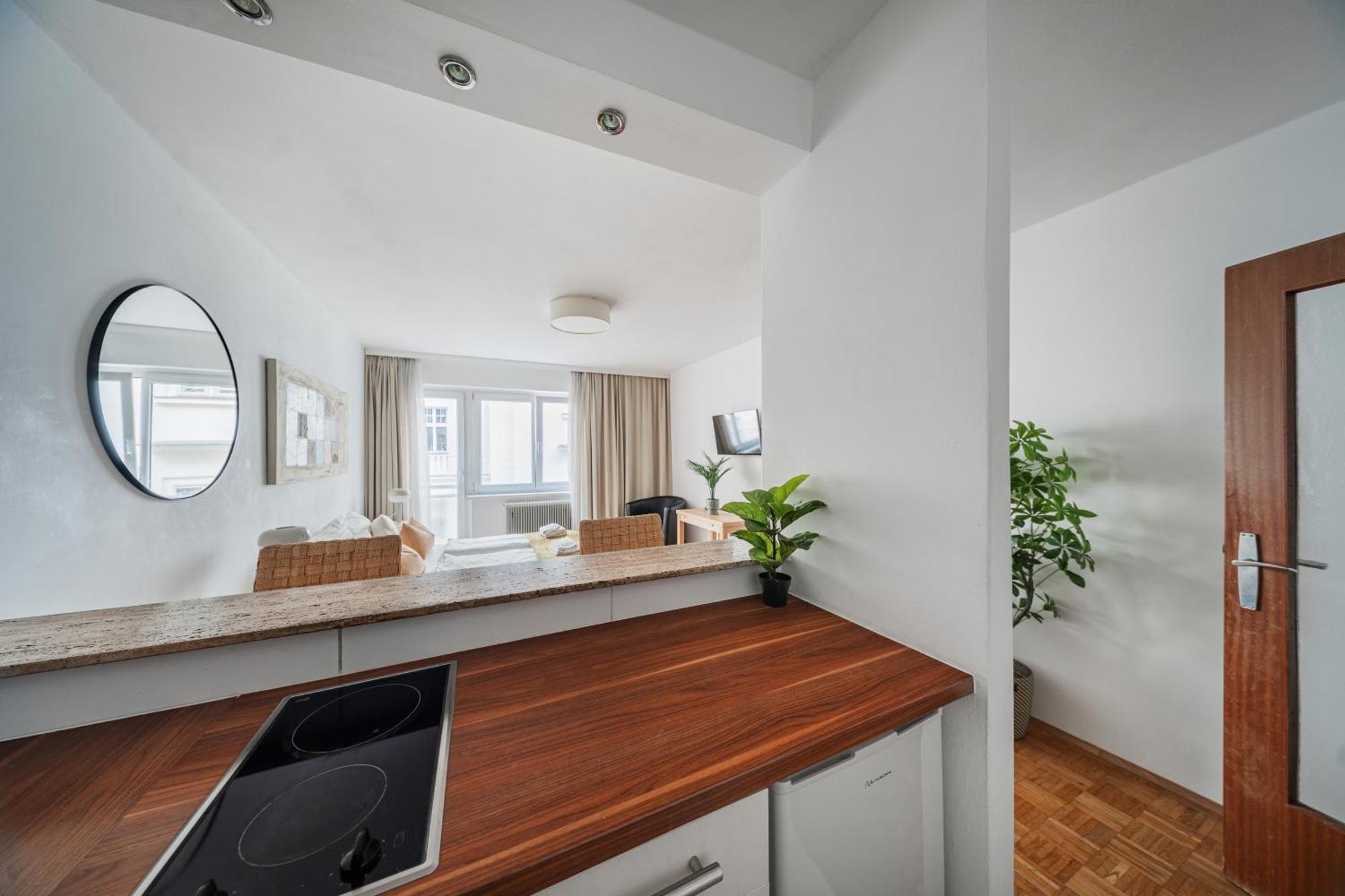 Studio Next To Karlskirche فيينا المظهر الخارجي الصورة